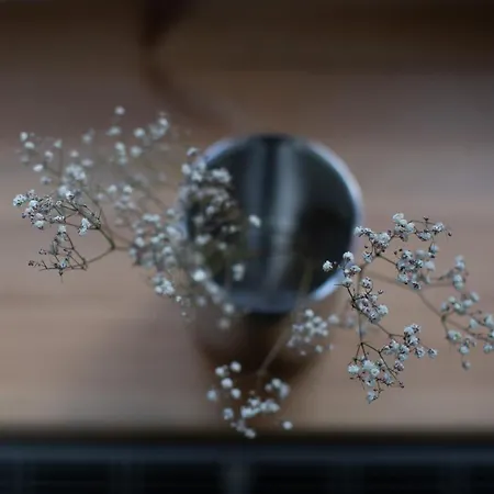 Wyciszy I Ukoi - W Najpiekniejszej Dzielnicy Katowic