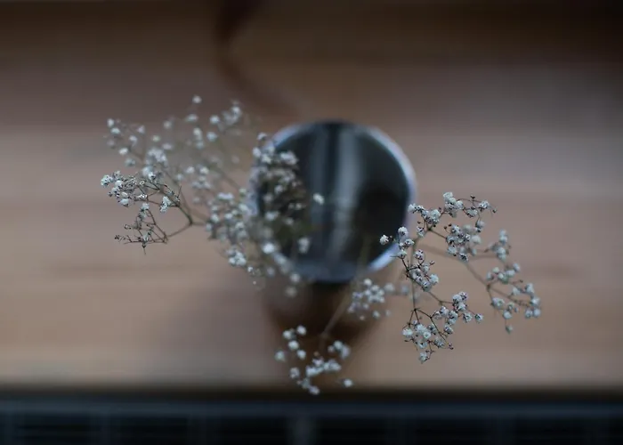 Wyciszy I Ukoi - W Najpiekniejszej Dzielnicy Katowic