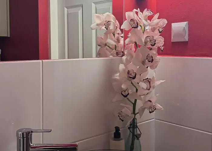 Wyciszy I Ukoi - W Najpiekniejszej Dzielnicy Katowic * Katowice